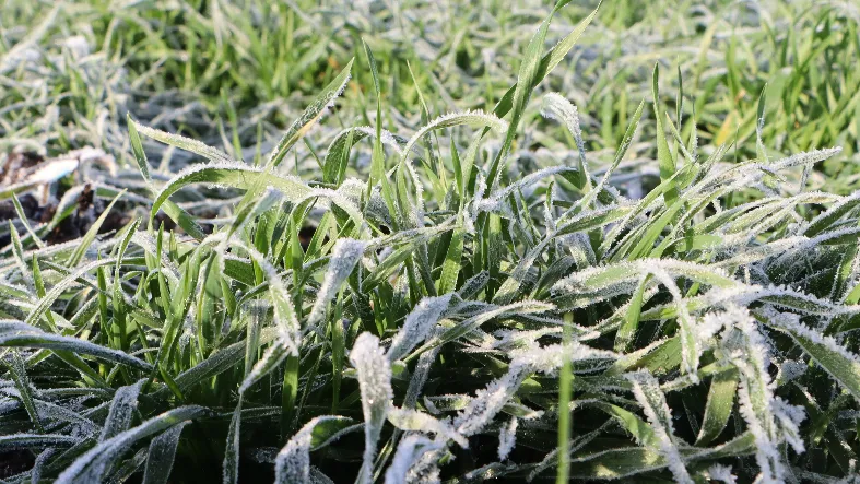 Фото: МедиаБанк Подмосковья/Ирина Матвеева