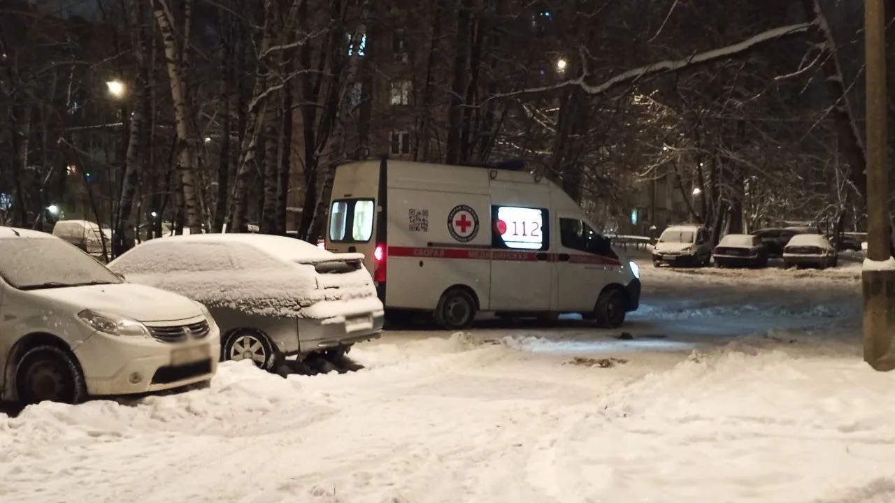 Фото: REGIONS/Василий Тремасов