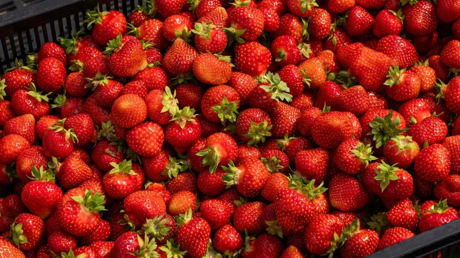 Фото: медиасток.рф