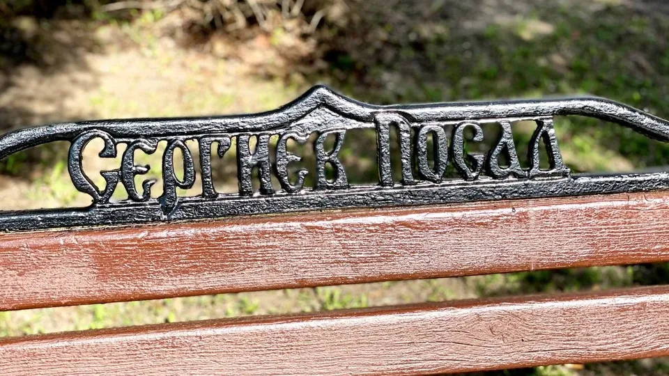 Фото: Медиаархив Подмосковья/Дмитрий Зайчиков