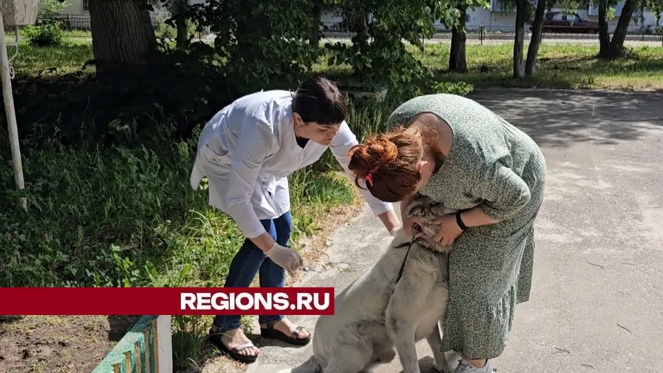 Фото: Александр Дрожжин