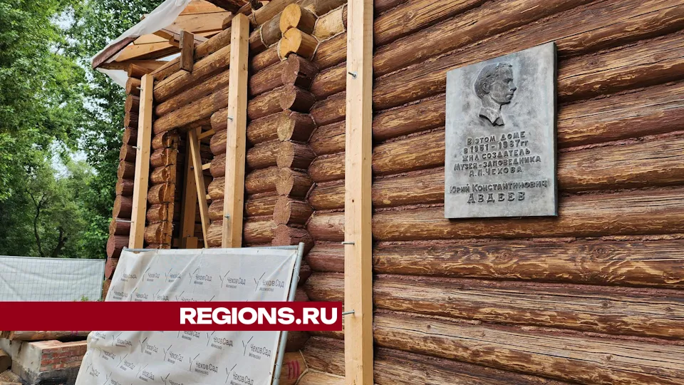 Фото: Дмитрий Алексеенко