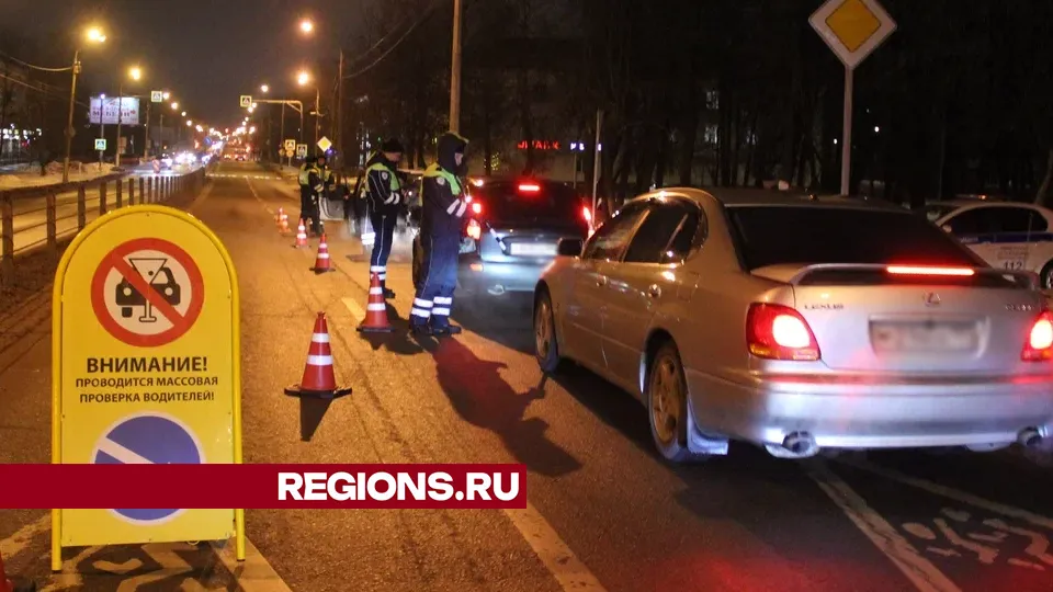 Фото: REGIONS/Василий Тремасов