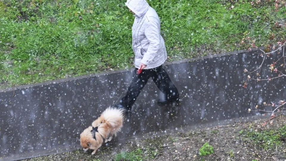 Фото: РИА Новости/Кирилл Каллиников