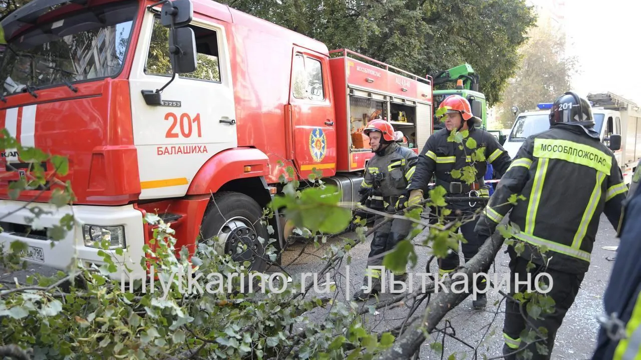 Фото: Наталья Николаева