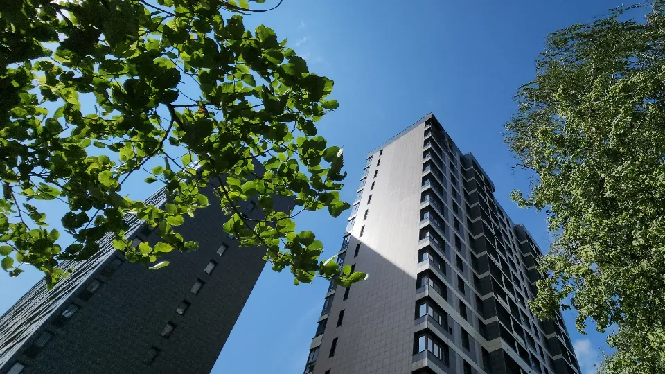 Фото: МедиаБанк Подмосковья/Артем Мишуков