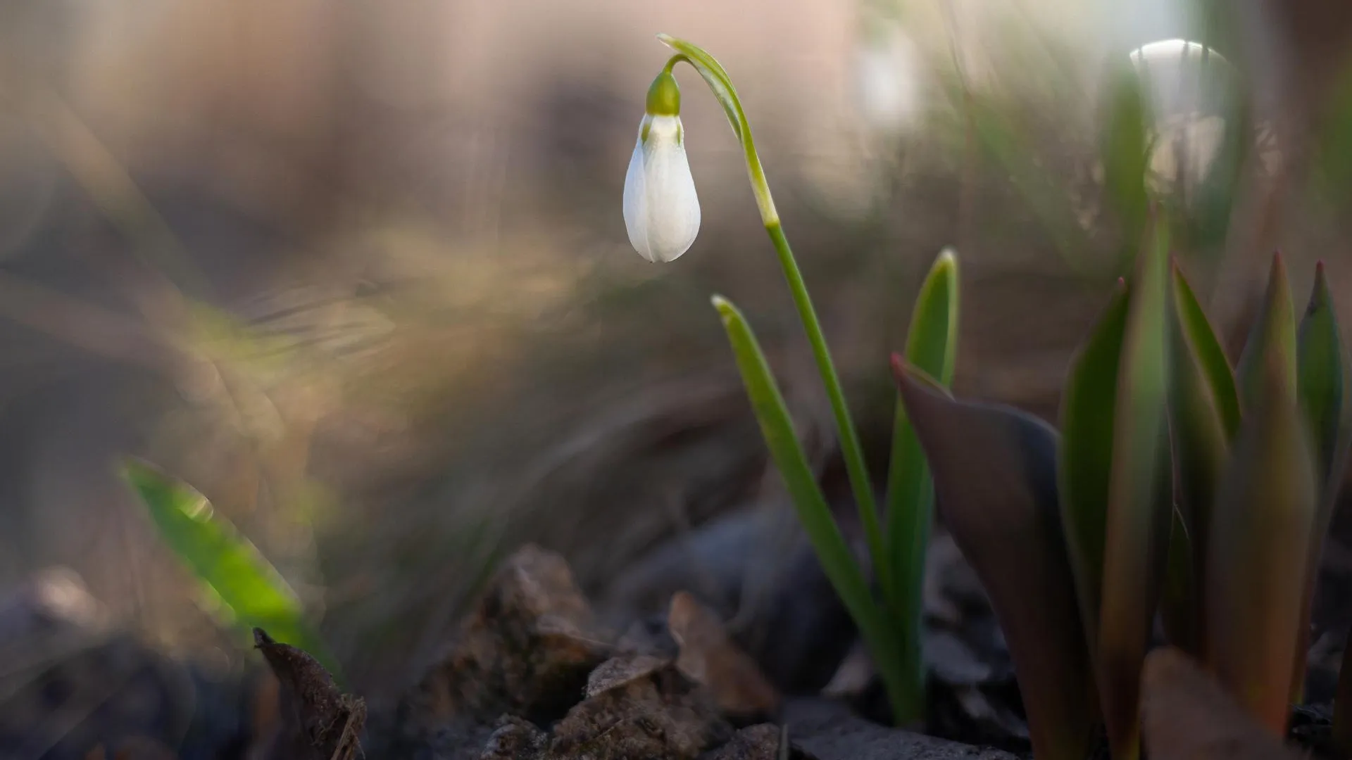 медиасток.рф