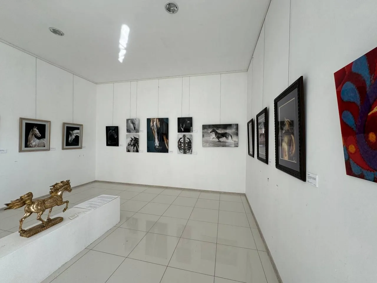 Фото: пресс-служба администрации Можайского городского округа