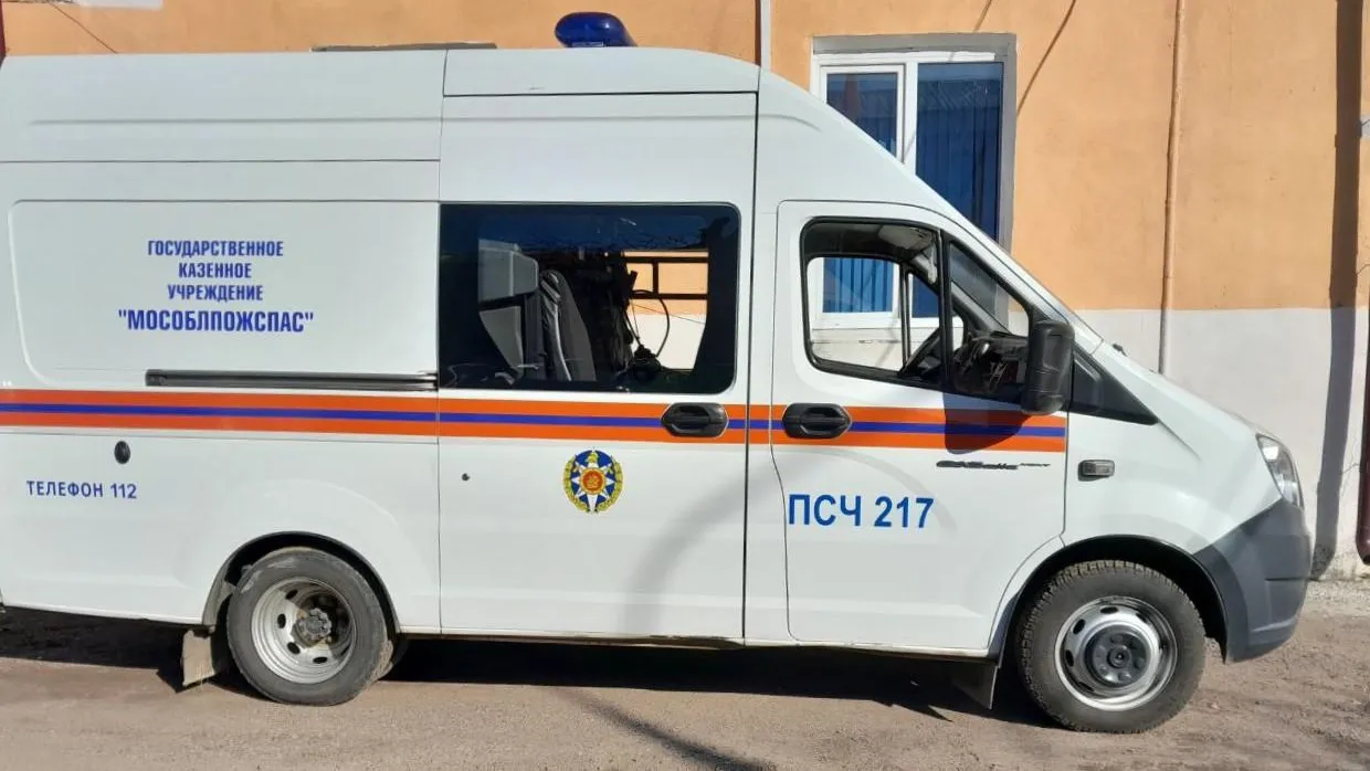 Картинка