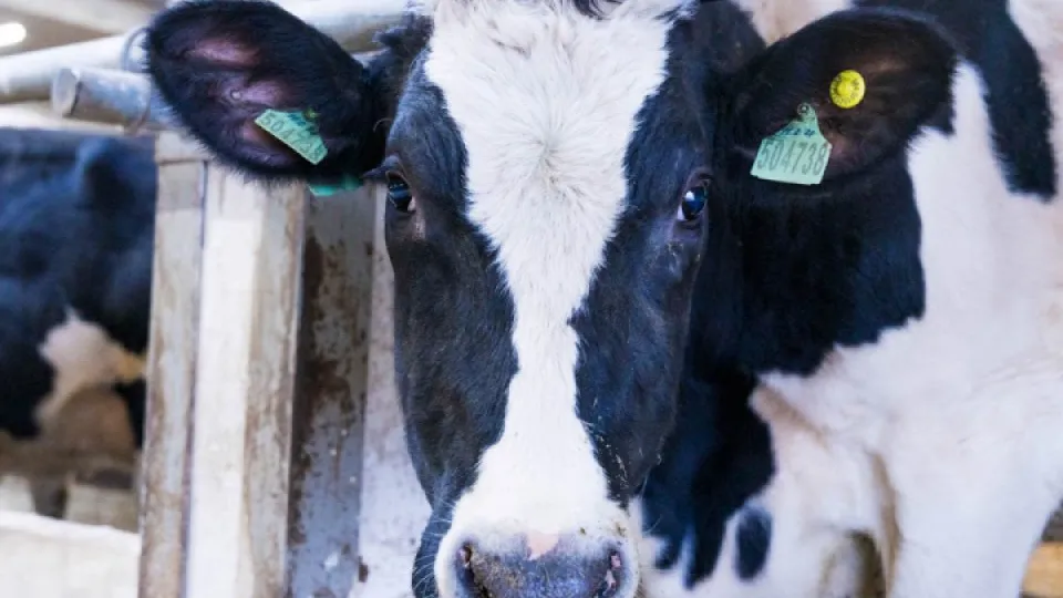 Фото: REGIONS/Наталья Надточая