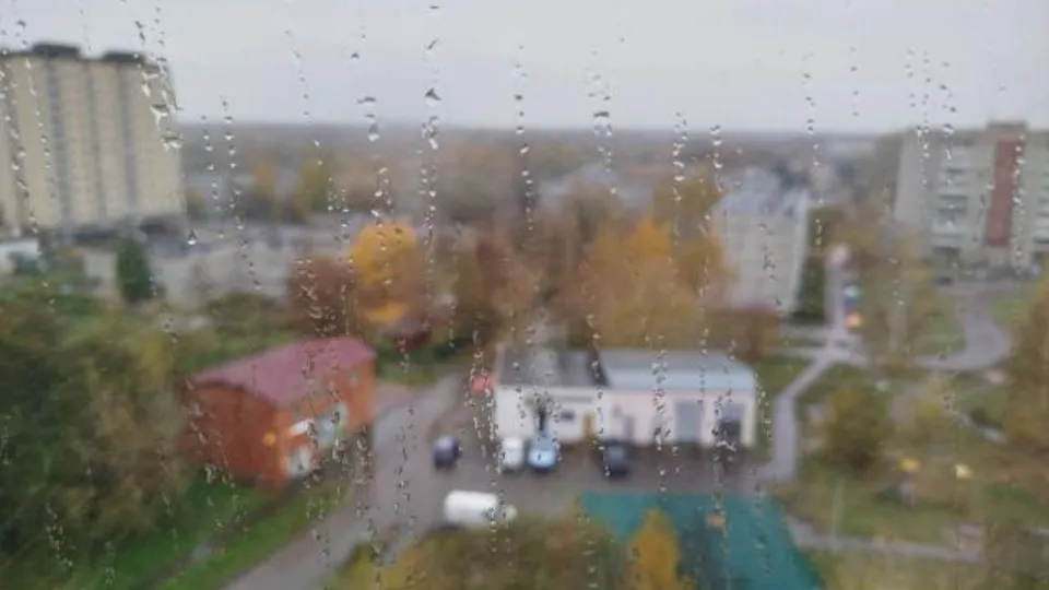 Фото: REGIONS/Наталья Дорофеева