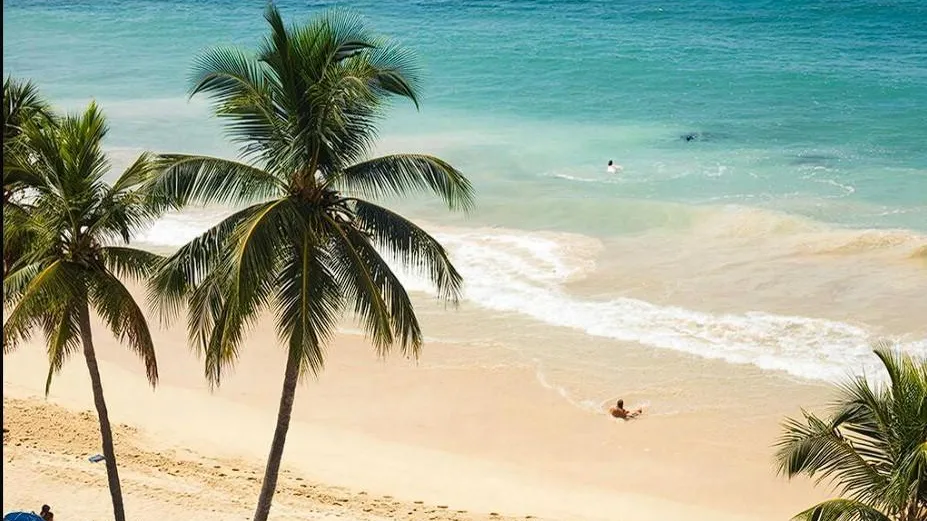 Российские туристы застряли на Шри-Ланке из-за отмены рейсов в ОАЭ