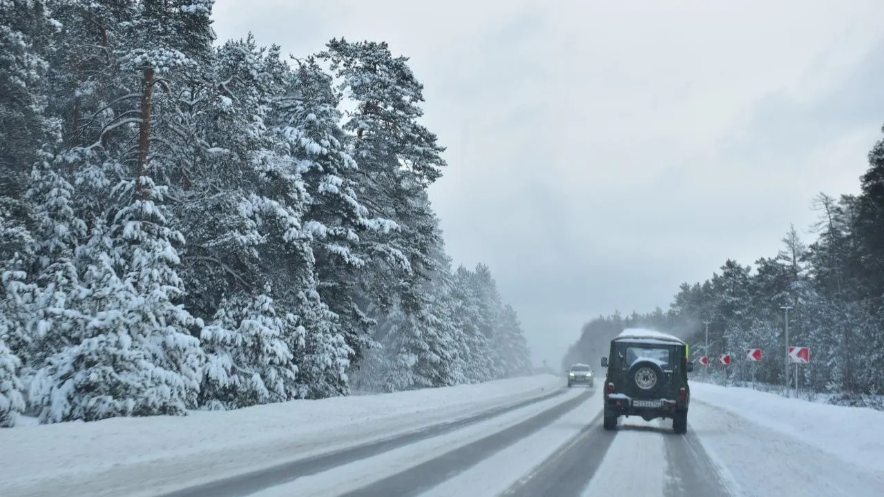 Фото: Оксана Лапшина