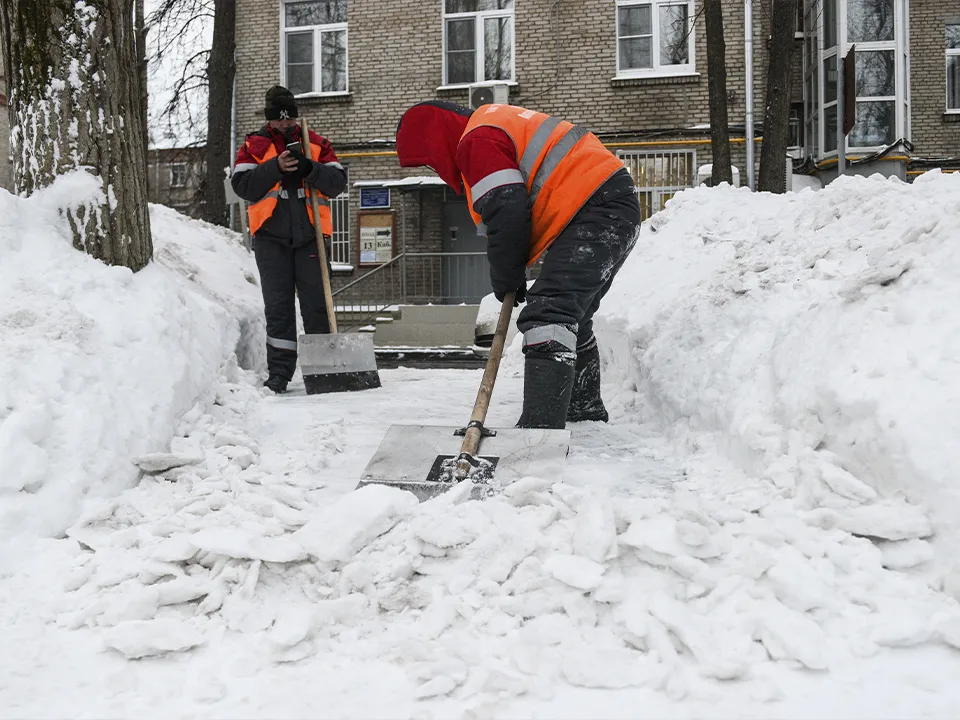 Фото: медиасток.рф