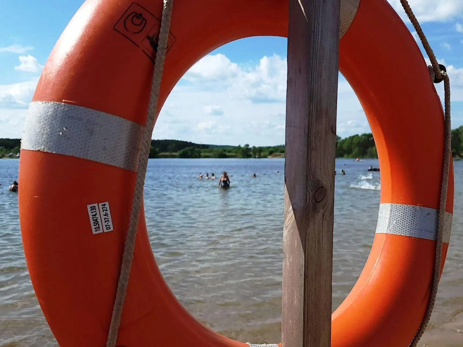 Фото: пресс-служба администрации г.о. Ступино