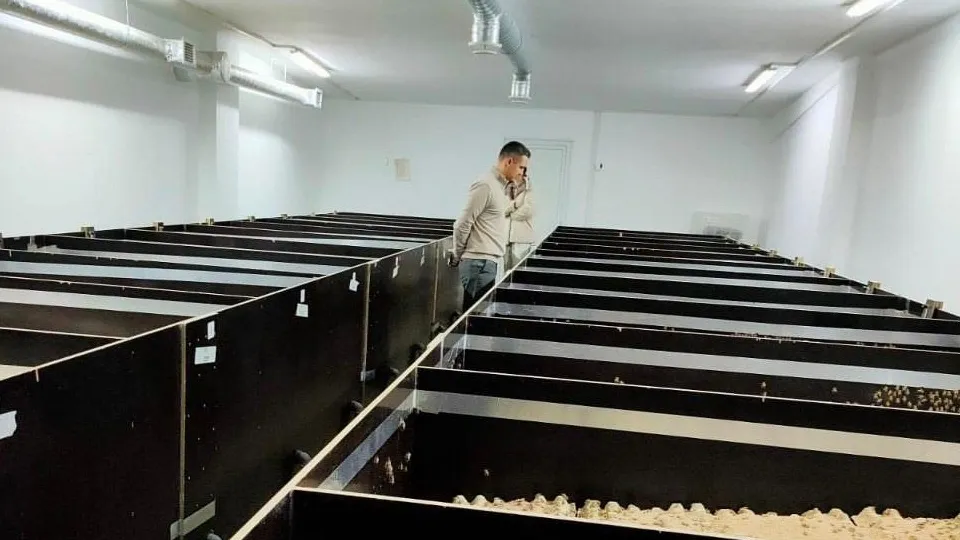 Фото: администрация г.о. Солнечногорск