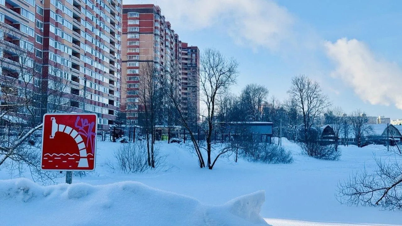 Татьяна Сташенко