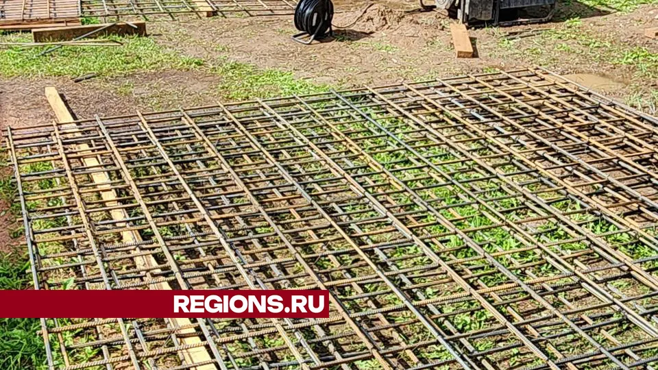 Фото: Дмитрий Беденко