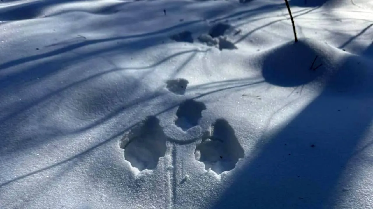 t.me/elk_island_national_park