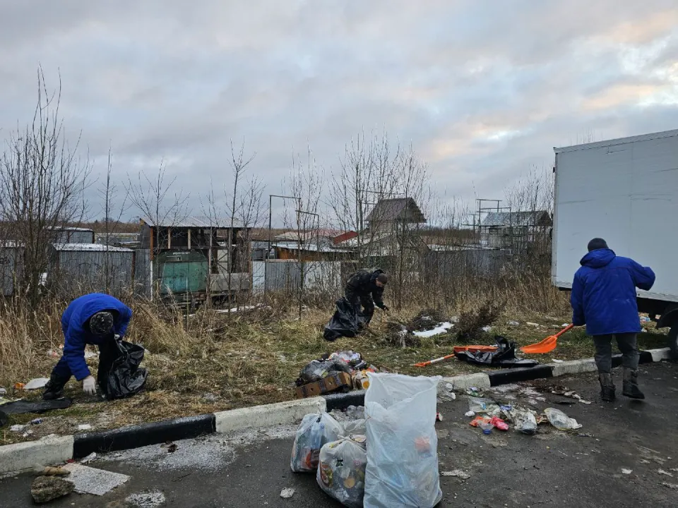 Фото: пресс-служба администрации г. о. Фрязино&nbsp;