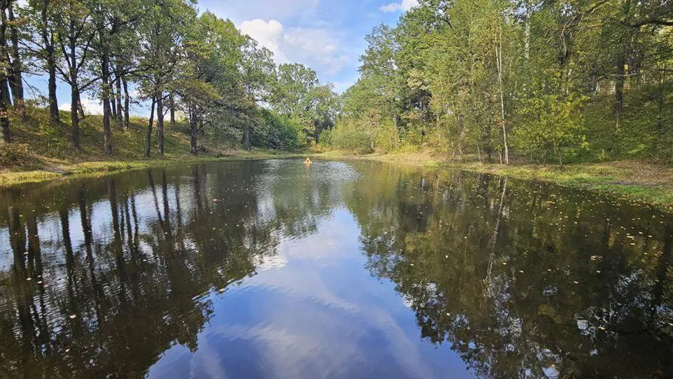 Фото: пресс-служба администрации г.о. Щелково