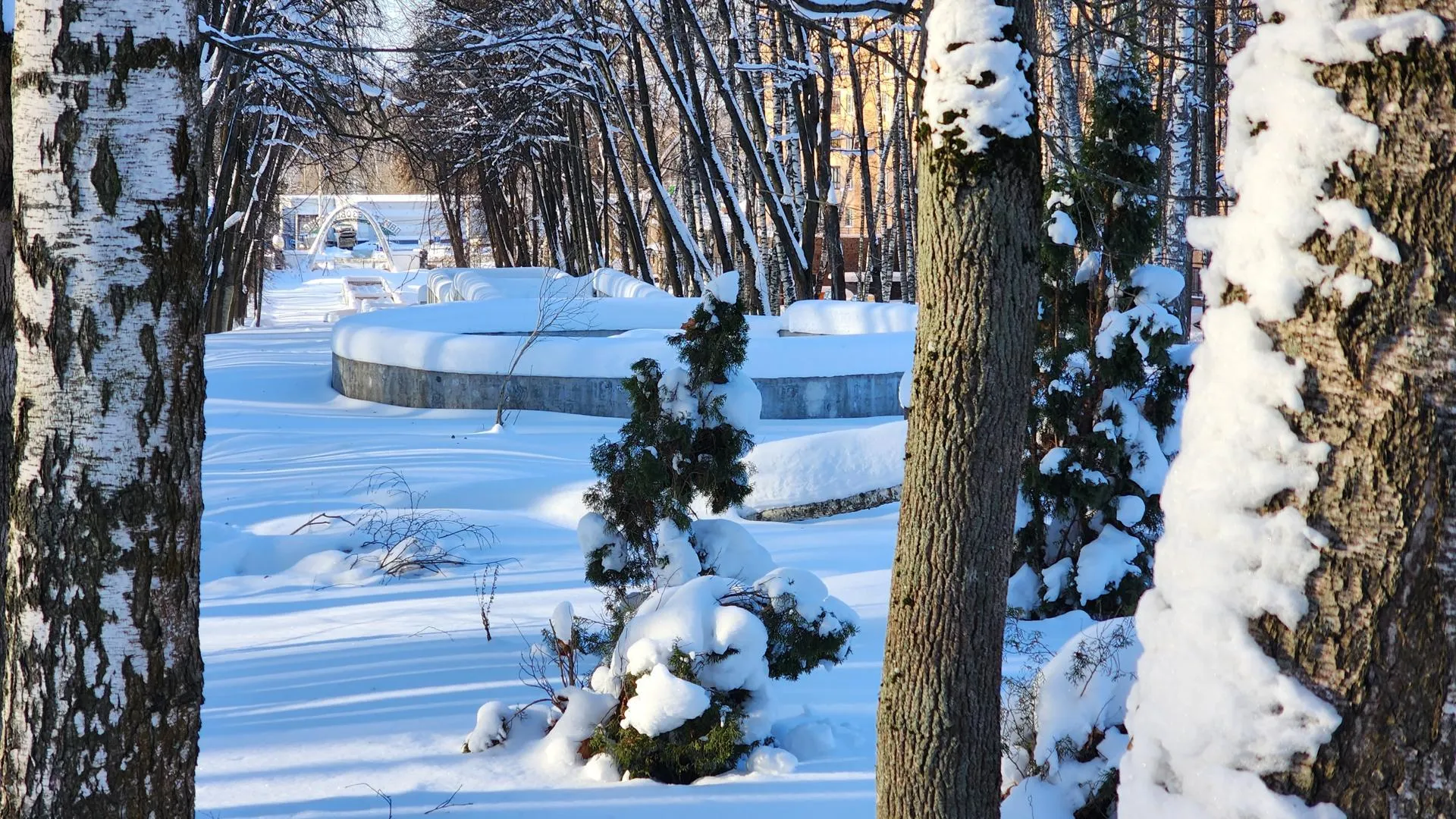 REGIONS/Евгений Рой