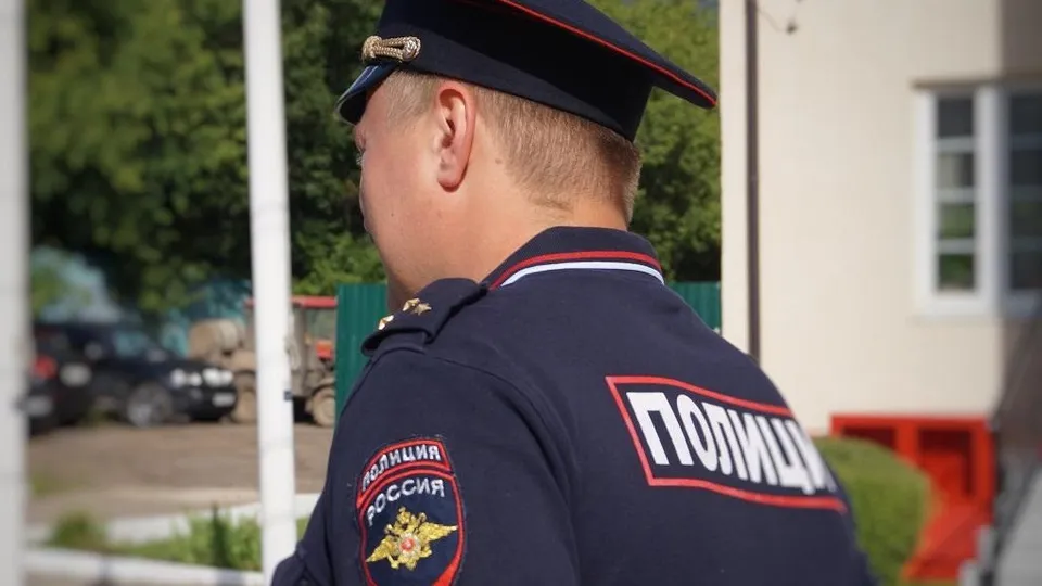 Фото: ГУ МВД России по Московской области