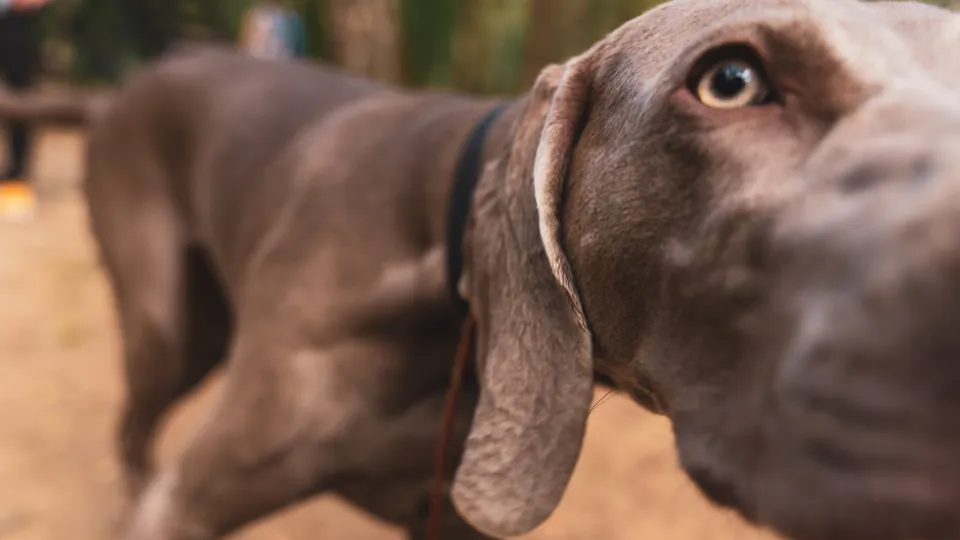 Фото: REGIONS/Наталия Надточая