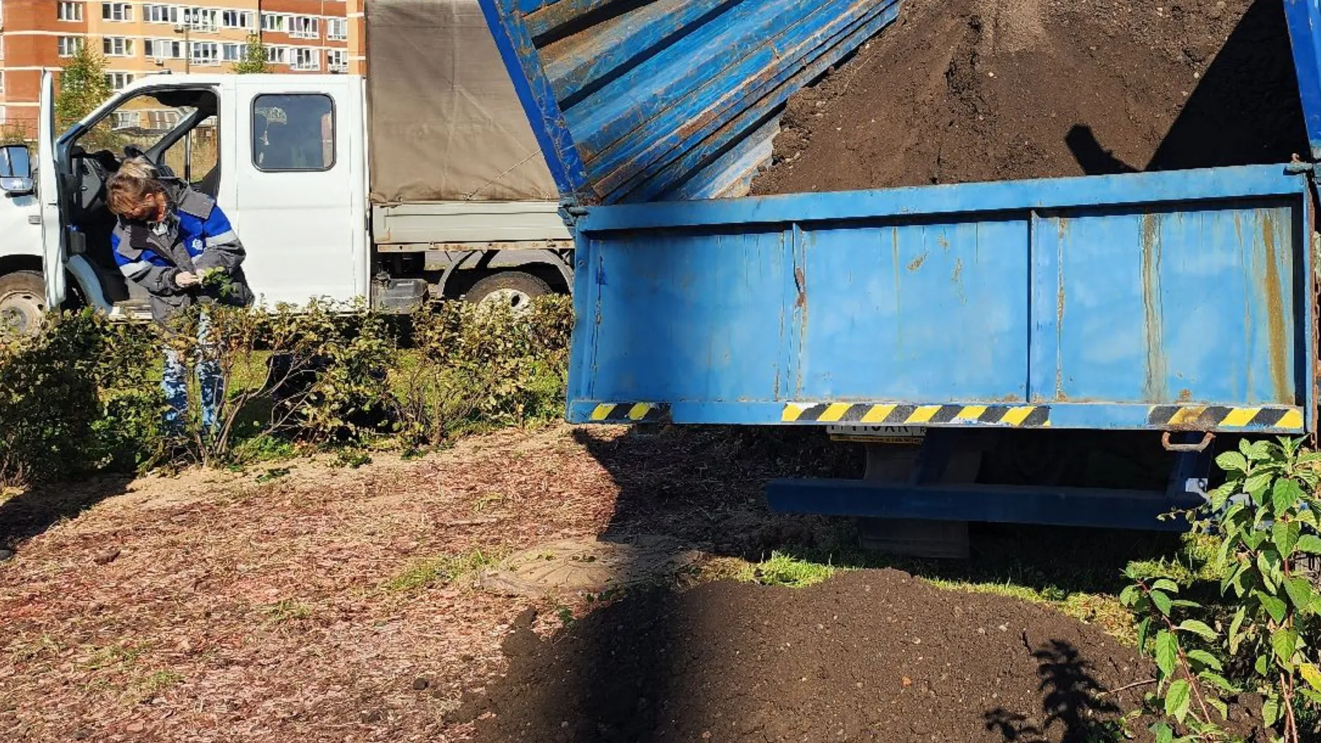 Фото: МедиаБанк Подмосковья/Андрей Алекин