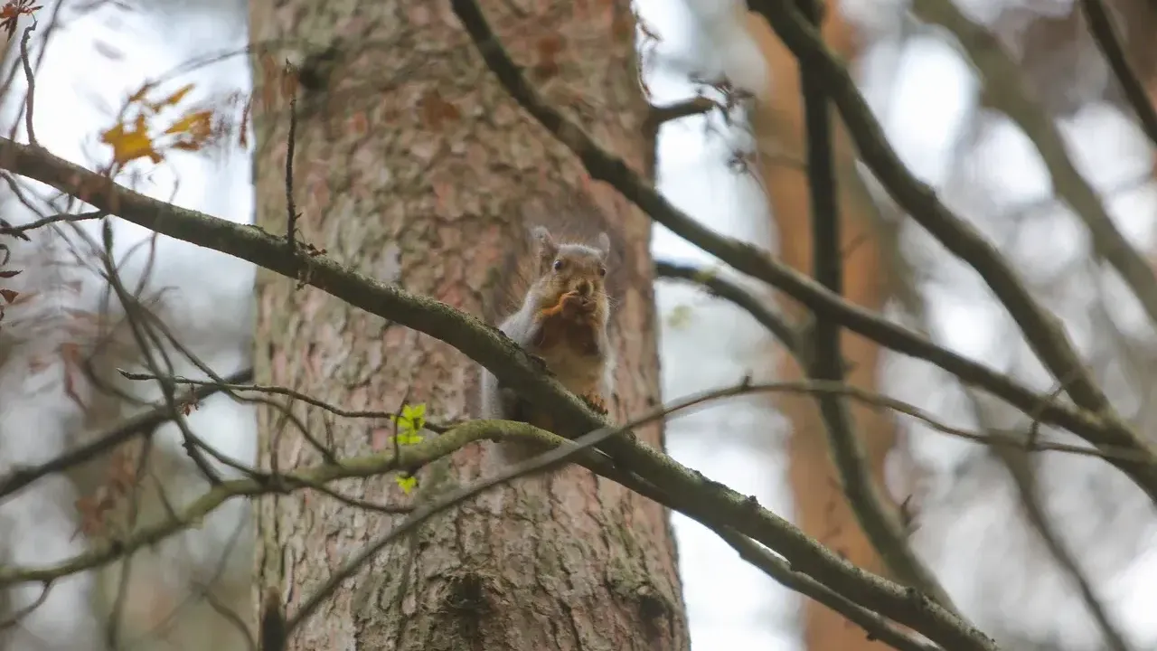 Министерство благоустройства Московской области