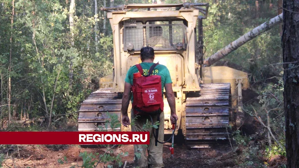 Фото: REGIONS/Василий Тремасов