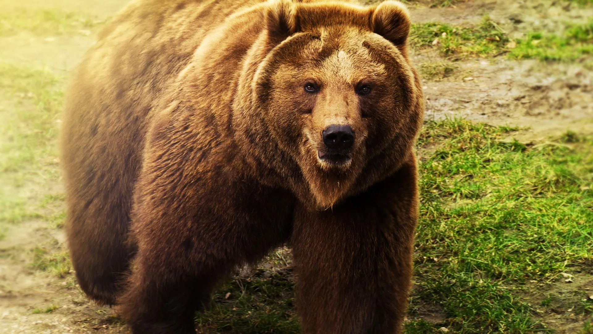 фото: соцсети