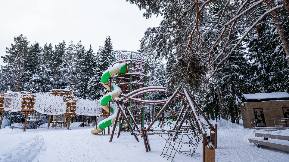 Фото: медиасток.рф