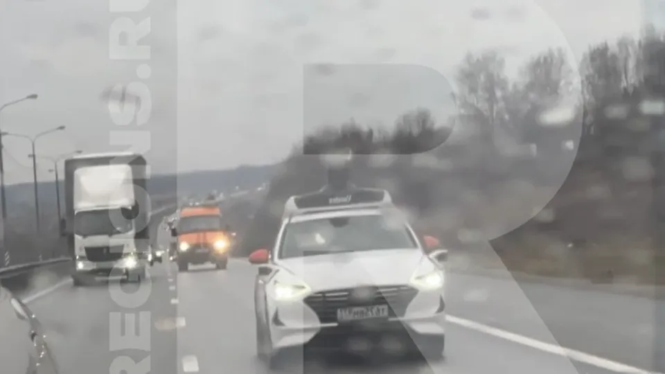 Фото: Артемий Жуков