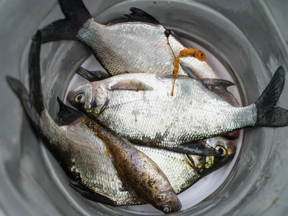 Фото: пресс-служба администрации г.о. Химки