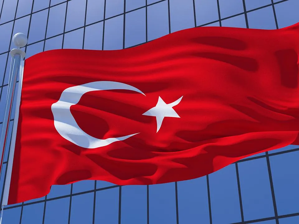 Анкара готова к жестким мерам против Киева — политолог раскрыл детали возможного ответа