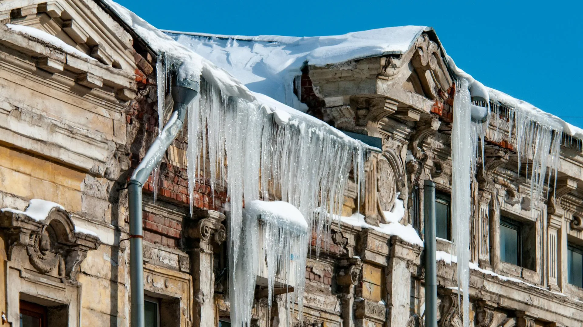 Svetlana Vozmilova/Global Look Press