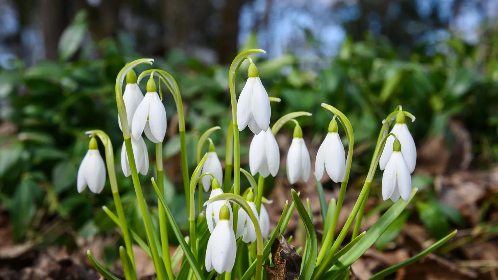 Фото: freepic.com