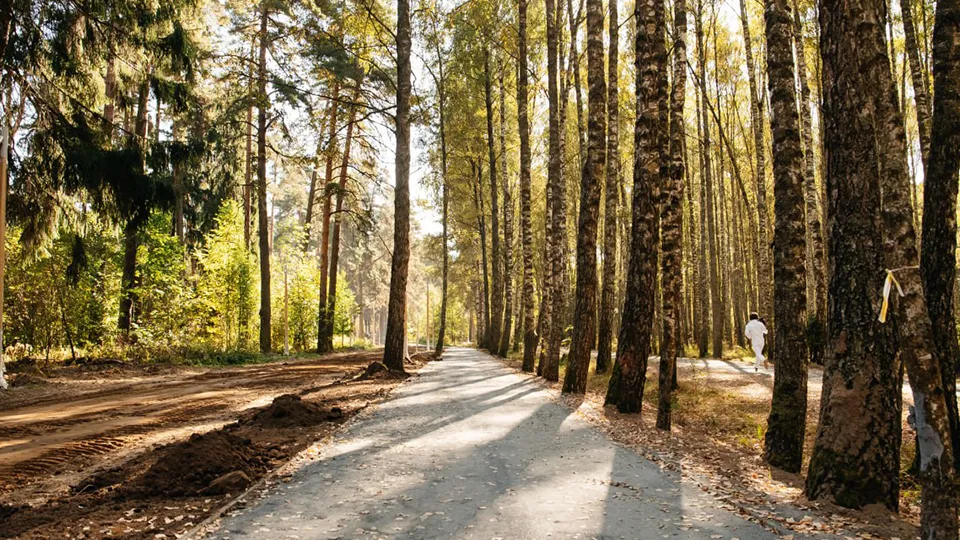 Фото: t.me/Krasnotsvetov_MV