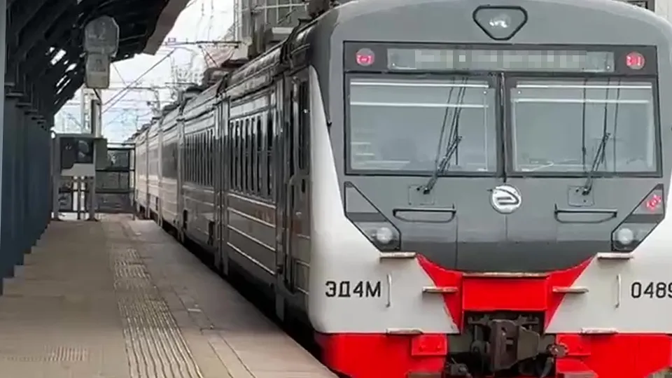 Фото: МедиаБанк Подмосковья/Ксения Казакова