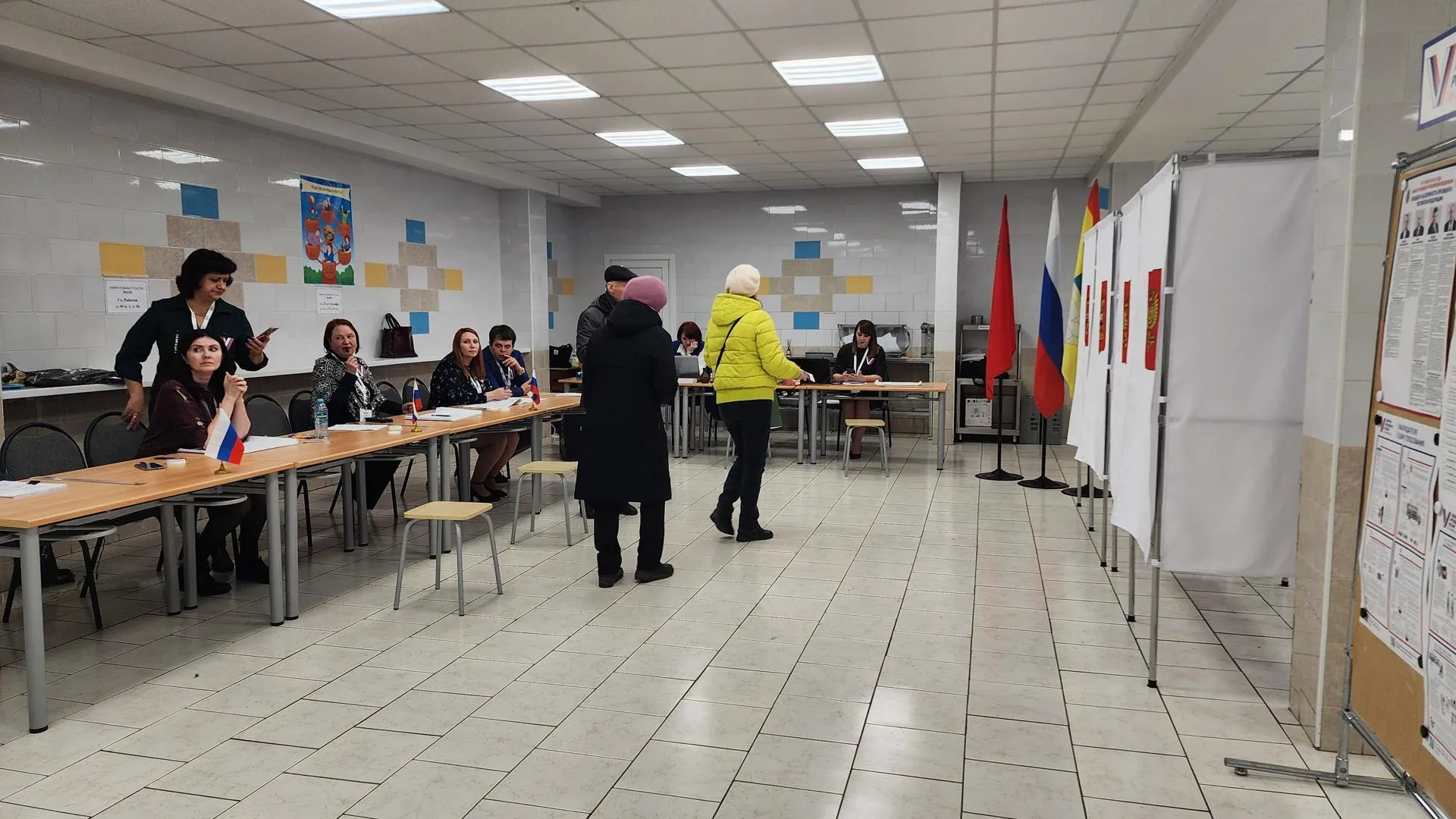 Медиа — Анастасия Сараева