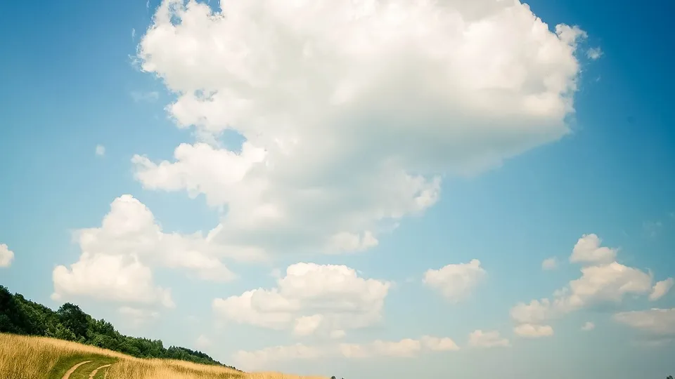 Фото: pxhere.com