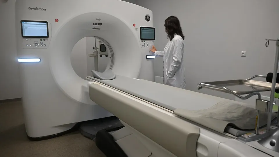 Фото: пресс-служба администрации Ленинского г.о.