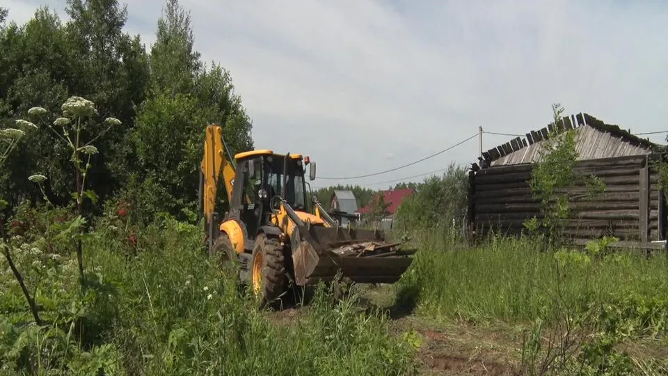 Фото: пресс-служба администрации г.о. Клин