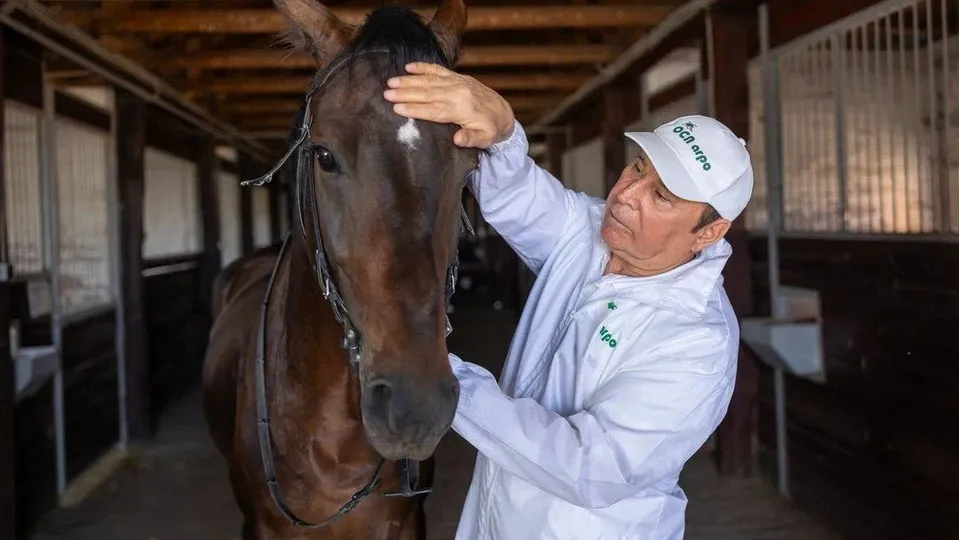 Фото: Агрохолдинг  «ОСП агро»