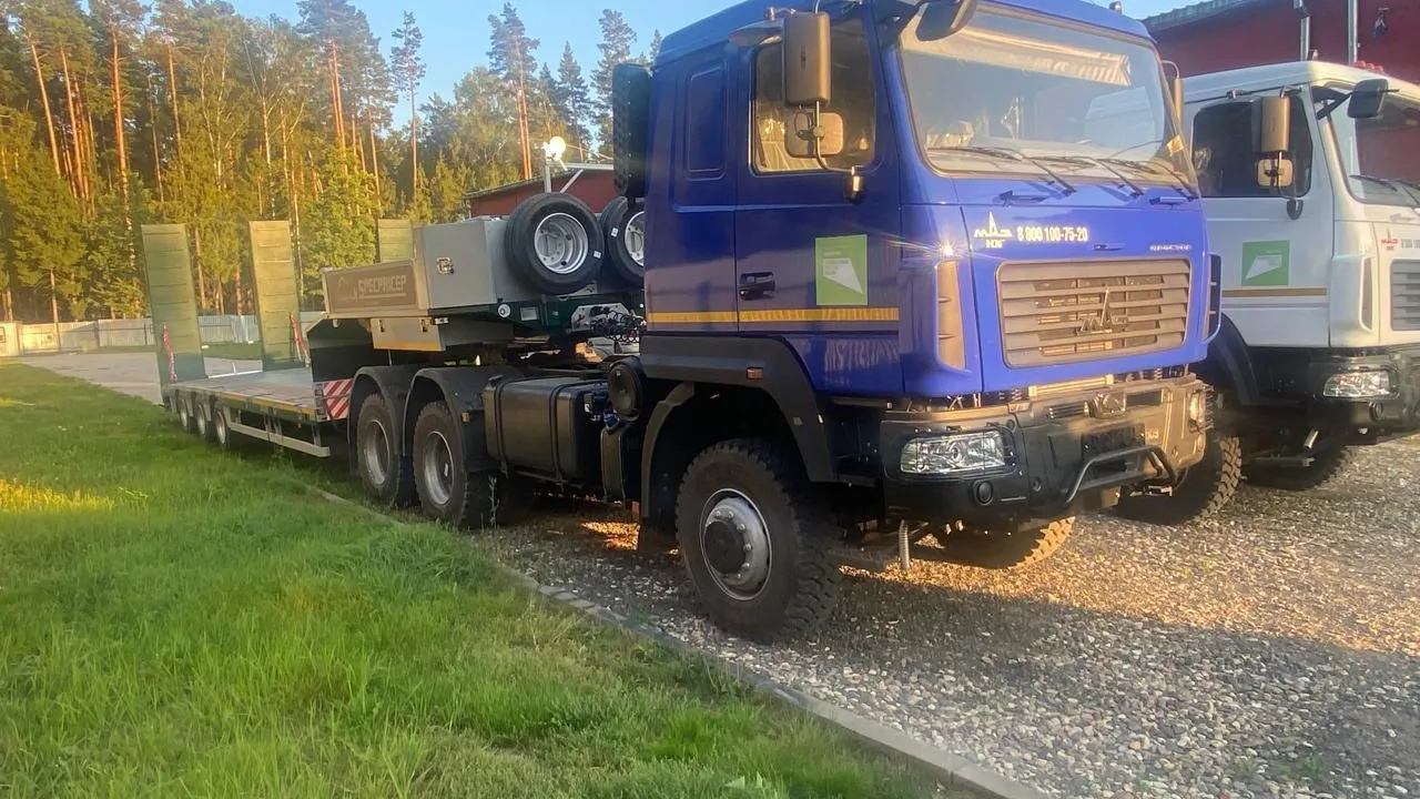Фото: Комитет лесного хозяйства Московской области