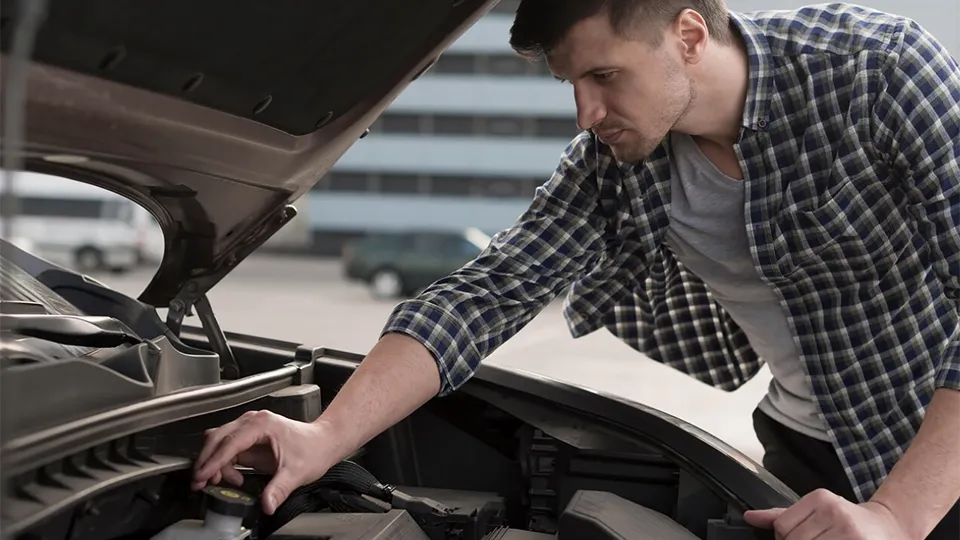 Фото: freepik.com