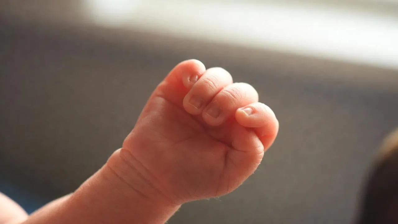 Ксения Алферова призналась, что потеряла двух детей от Егора Бероева