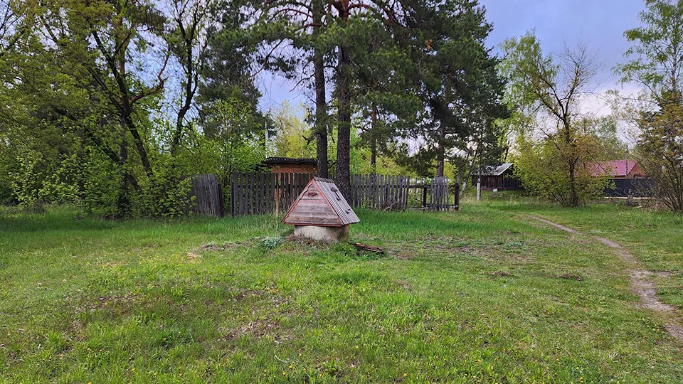 Фото: Вера Коренева