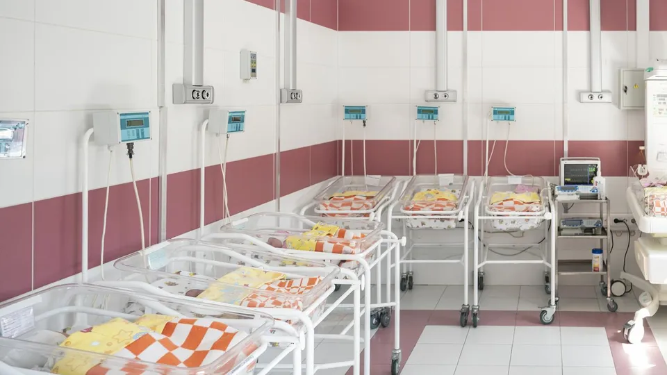 Фото: пресс-служба Администрации г.о. Ленинский